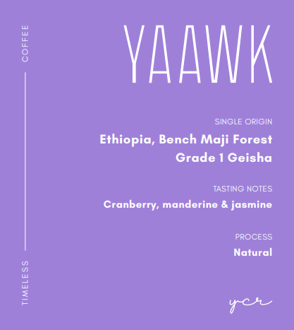 Ethiopia, Bench Maji Forest Grade 1 Geisha